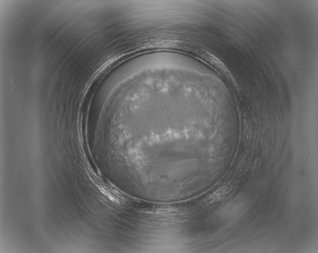X0000058791035200510171314