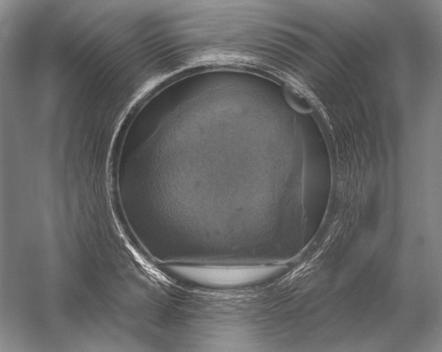 X0000058791037200510171314