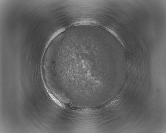 X0000058791042200510171314
