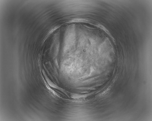 X0000058791049200510171315