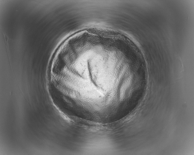 X0000058791056200510171315