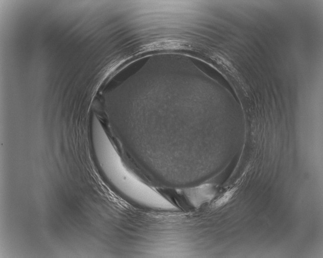 X0000058791081200510171313
