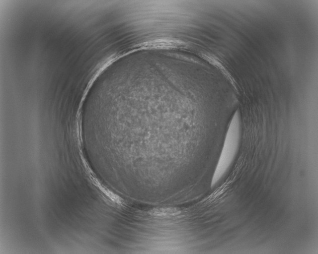 X0000058791083200510171313