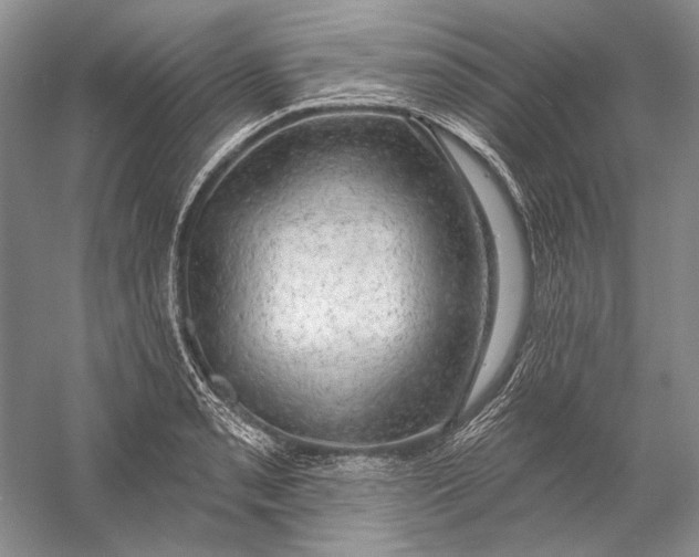 X0000058791085200510171313