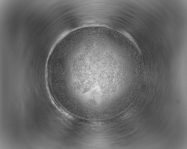 X0000058791096200510171313