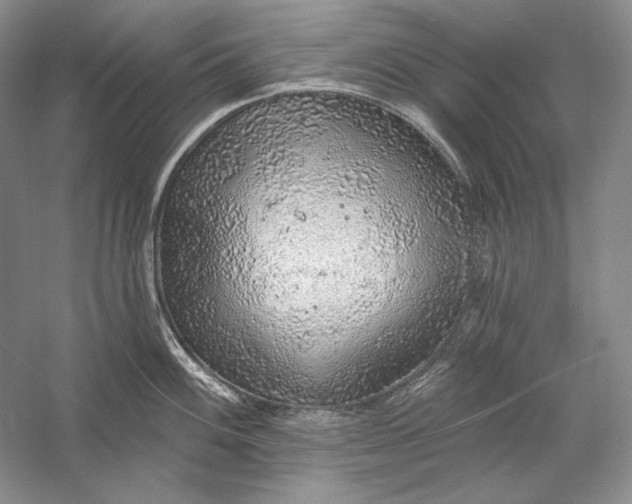 X0000058791100200510171313