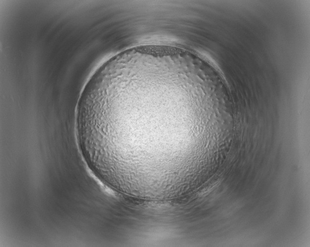 X0000058791103200510171313