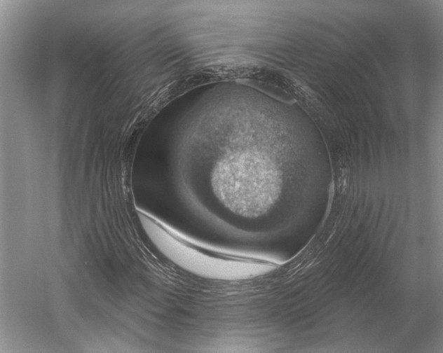 X0000058791108200510171312