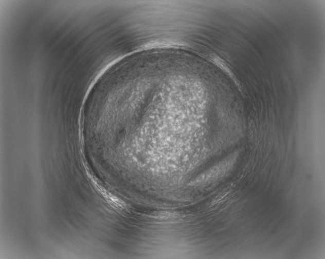 X0000058791124200510171313