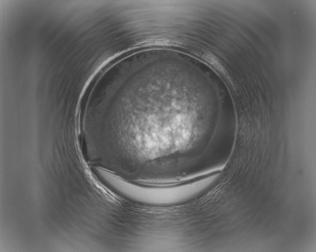 X0000058791132200510171313