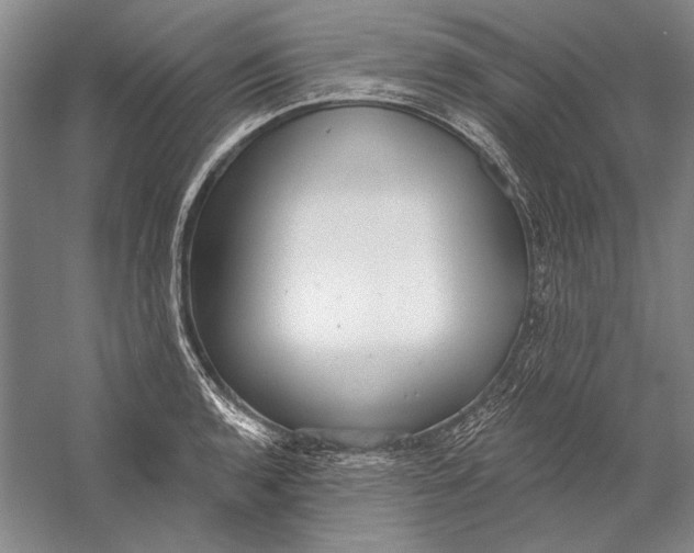 X0000058791136200510171313
