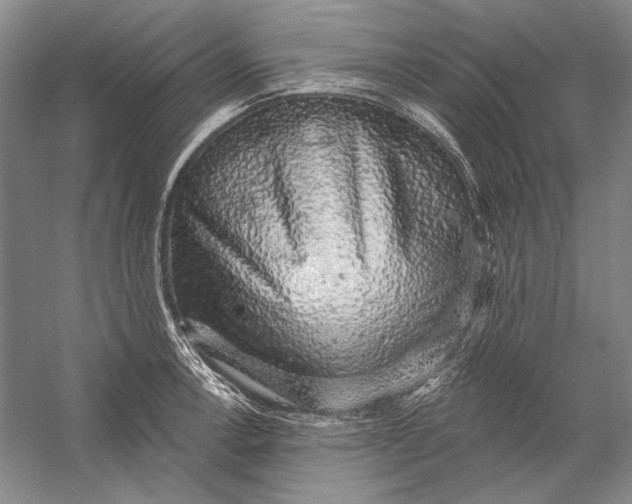X0000058791138200510171313