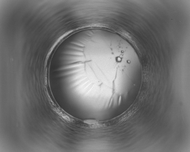 X0000058791140200510171313