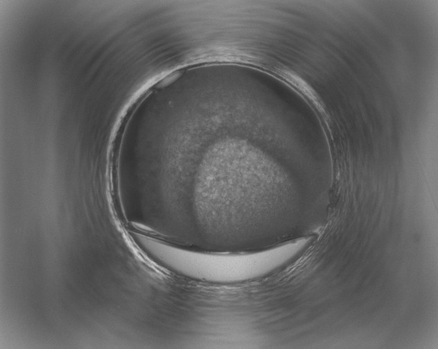 X0000058791144200510171313