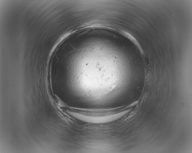 X0000058791146200510171313