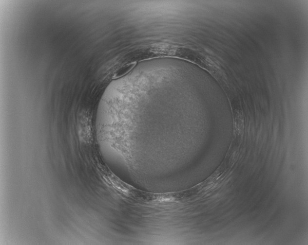 X0000058791154200510171312
