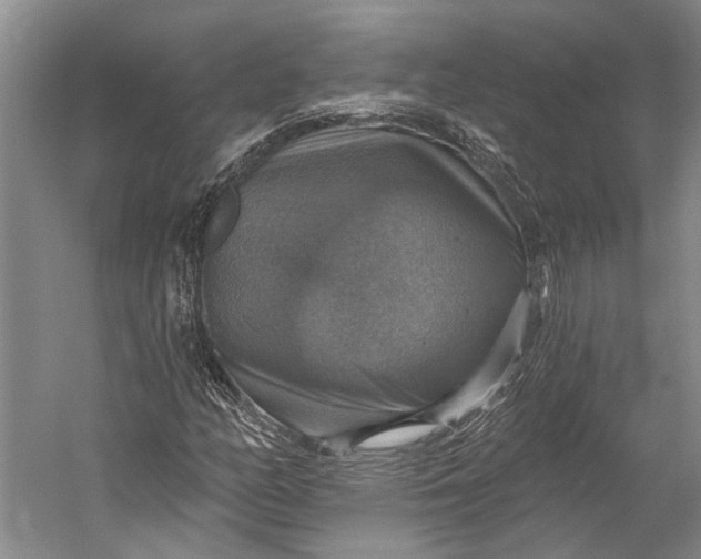 X0000058791158200510171312