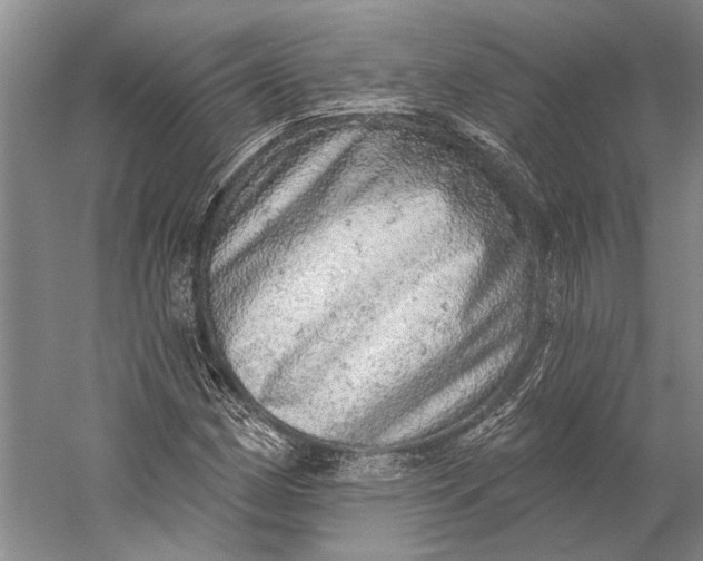 X0000058791162200510171312