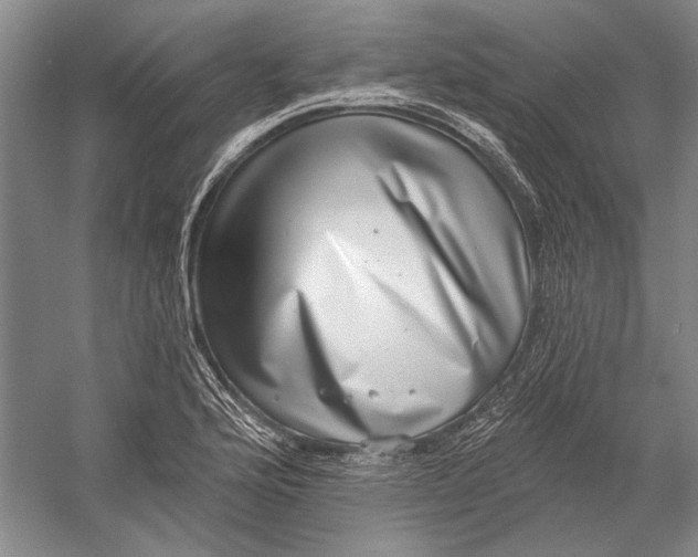 X0000058791176200510171312