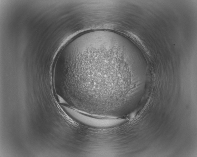 X0000058791184200510171312
