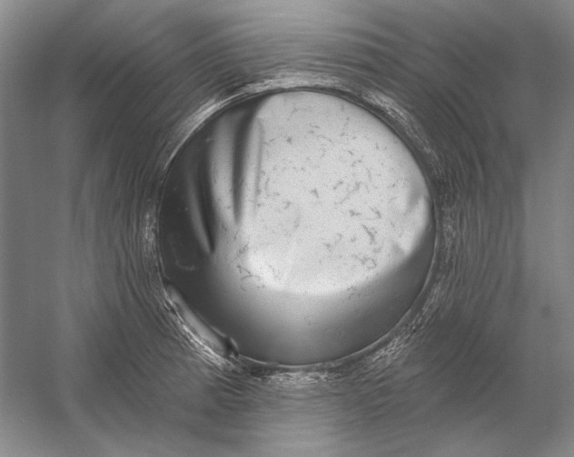 X0000058791185200510171312