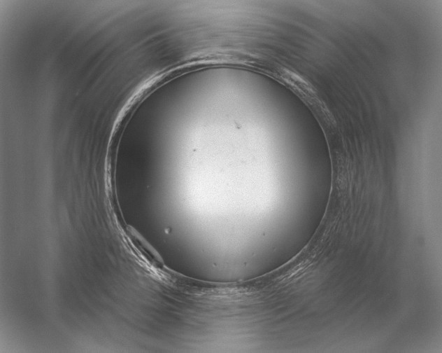 X0000058791188200510171312
