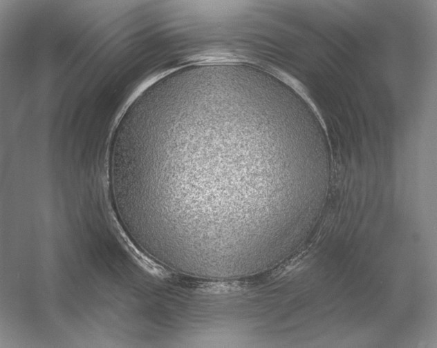 X0000058791195200510171311