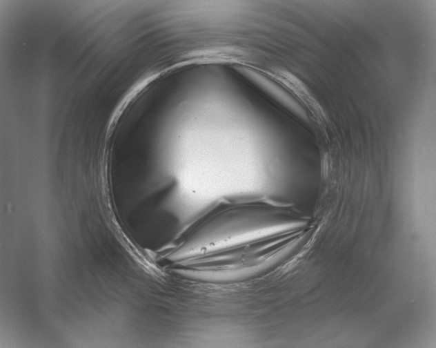 X0000058791196200510171311
