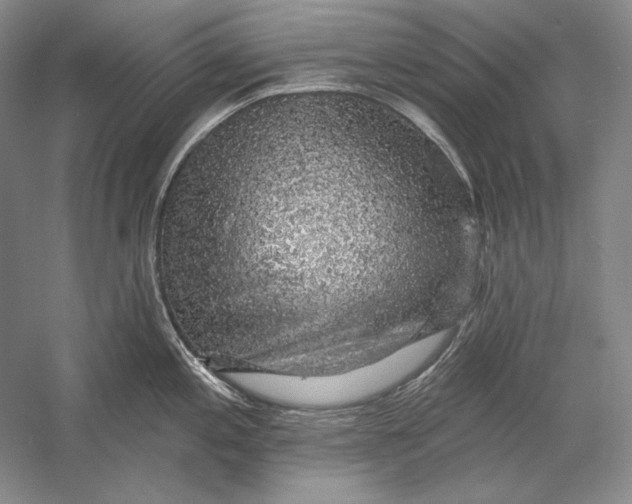 X0000058791197200510171311