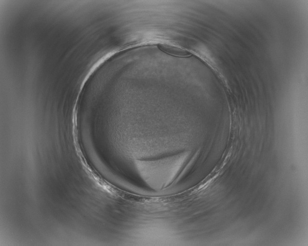 X0000058791198200510171311