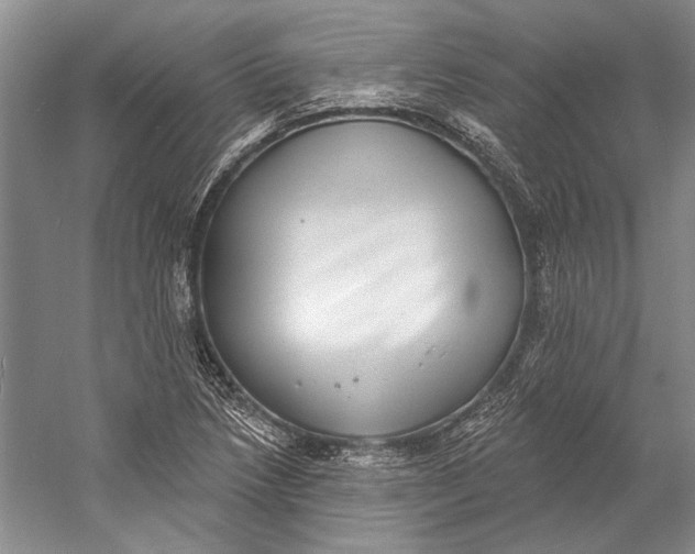 X0000058791218200510171311