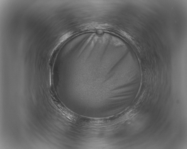 X0000058791219200510171311