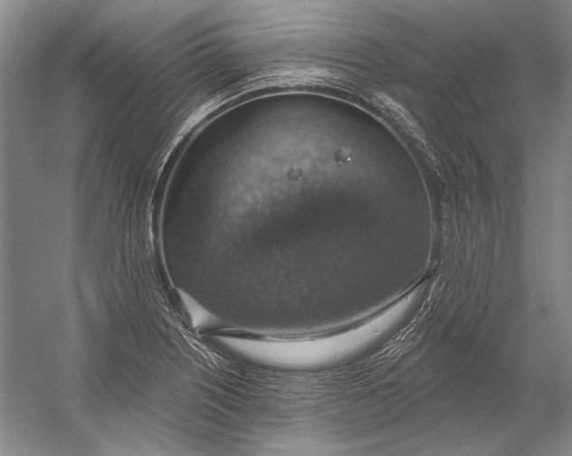 X0000058791226200510171311