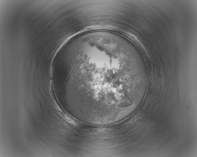 X0000058791228200510171311
