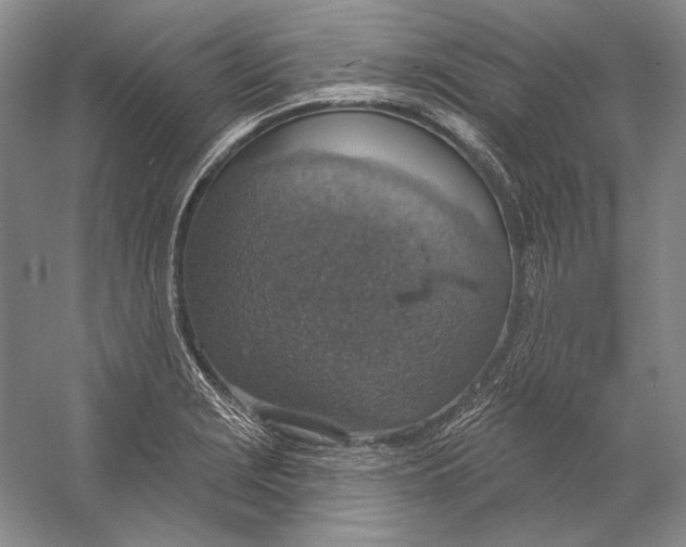 X0000058791229200510171311