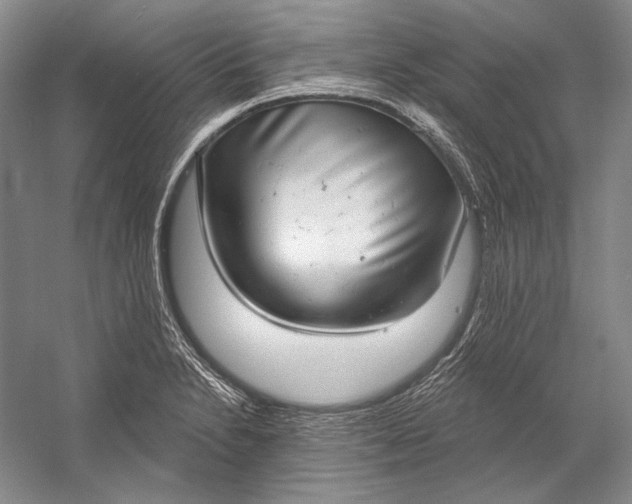 X0000058791230200510171311
