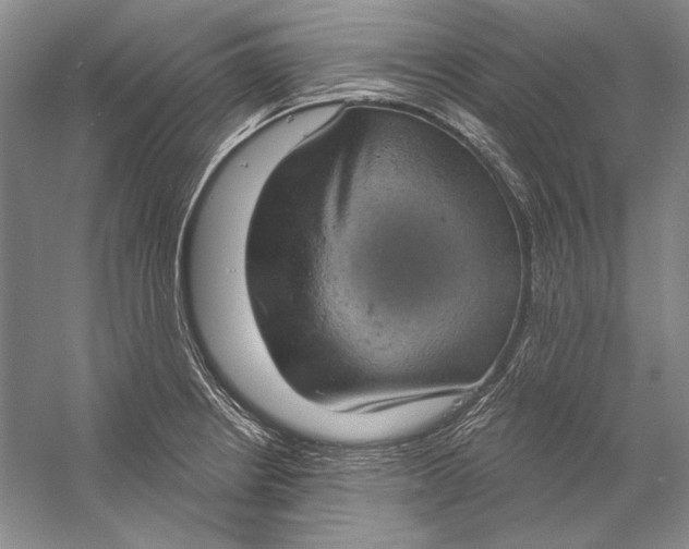 X0000058791234200510171311