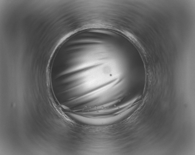 X0000058791238200510171311