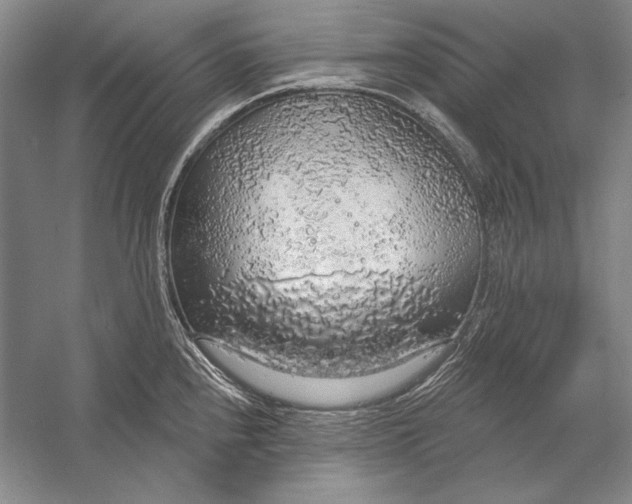 X0000058791240200510171311