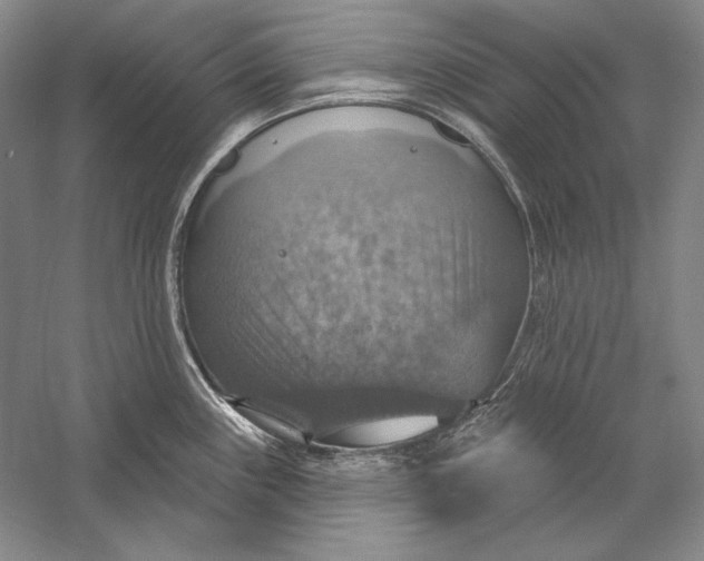 X0000058791243200510171311