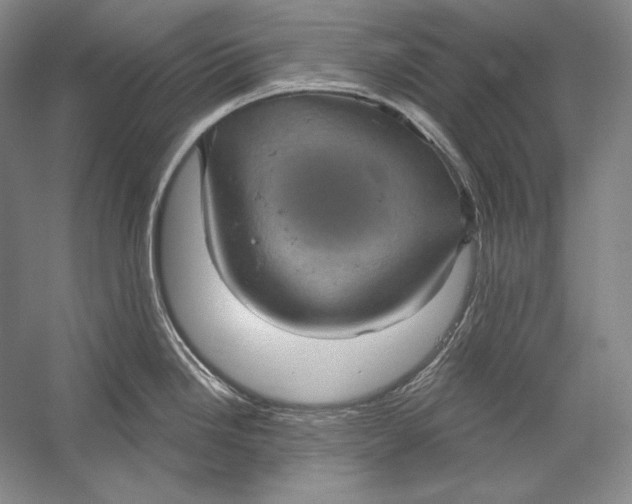 X0000058791246200510171311