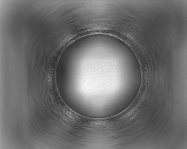 X0000058791257200510171310