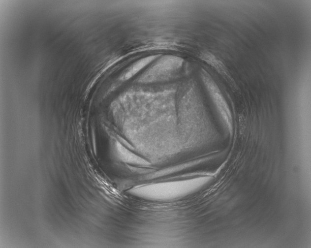 X0000058791260200510171310