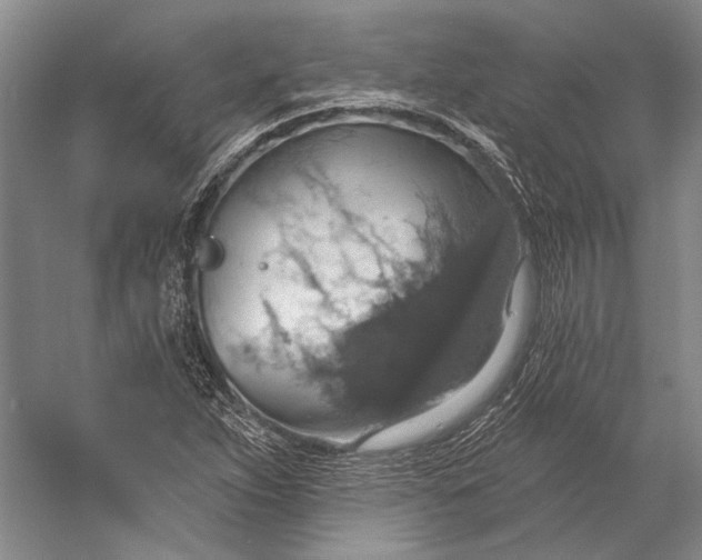 X0000058791263200510171310