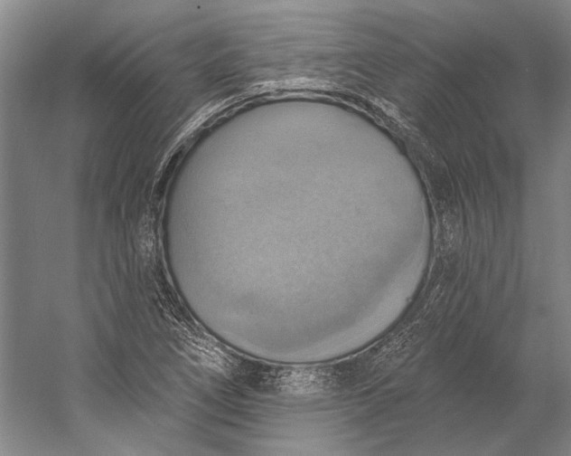 X0000058791266200510171310