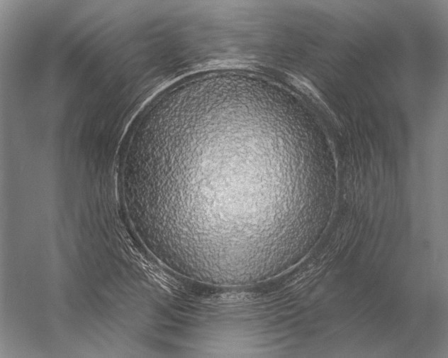 X0000058791268200510171310