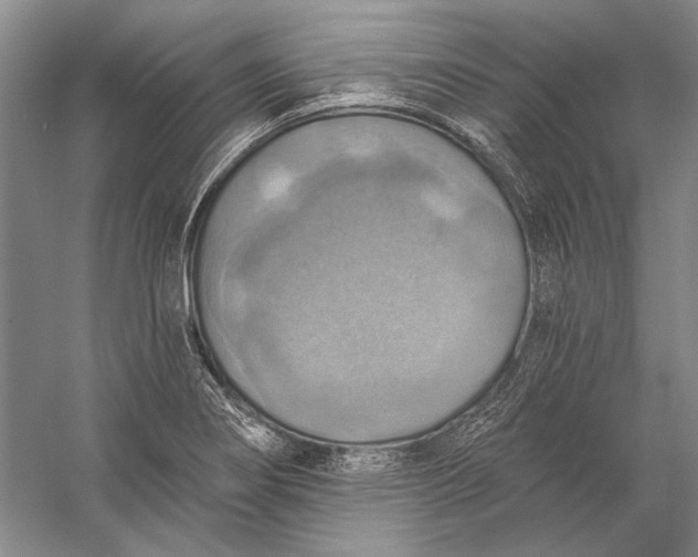 X0000058791274200510171310