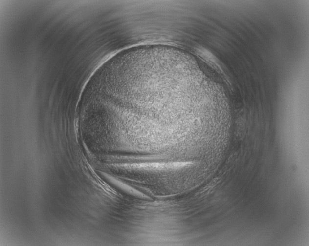 X0000058791284200510171310