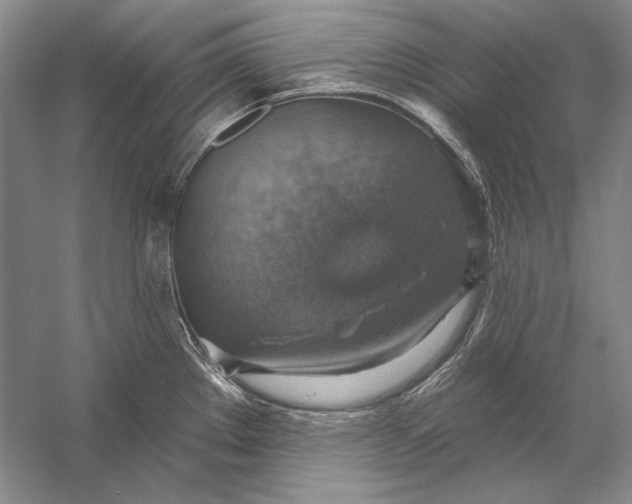 X0000058791289200510171310