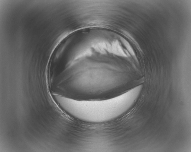 X0000058791291200510171310
